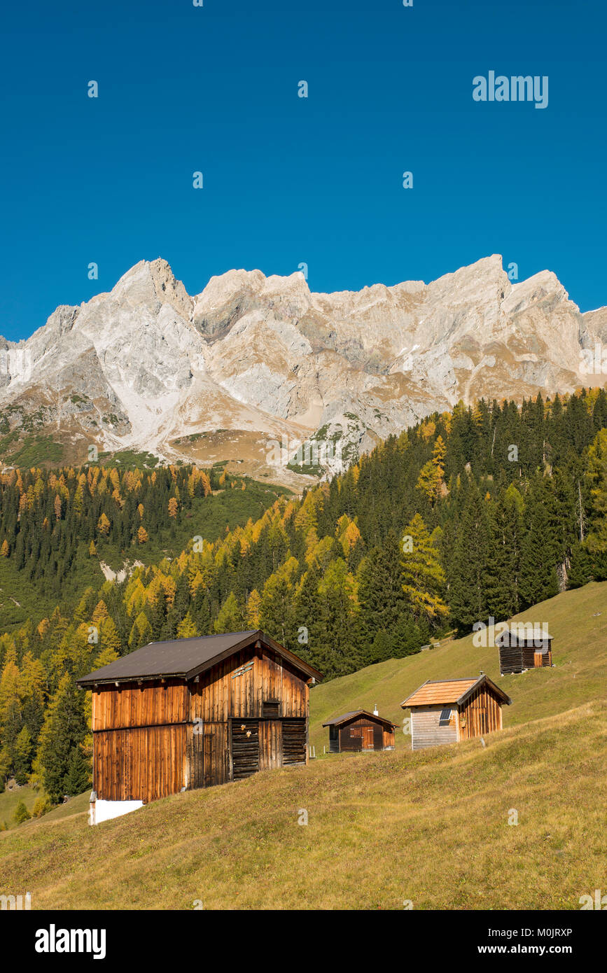 Paysage de montagne d'automne avec des refuges alpins, derrière le Dawin-Alpe Eisenspitze, forêt, prairies, Strengen am Arlberg, Tyrol Banque D'Images