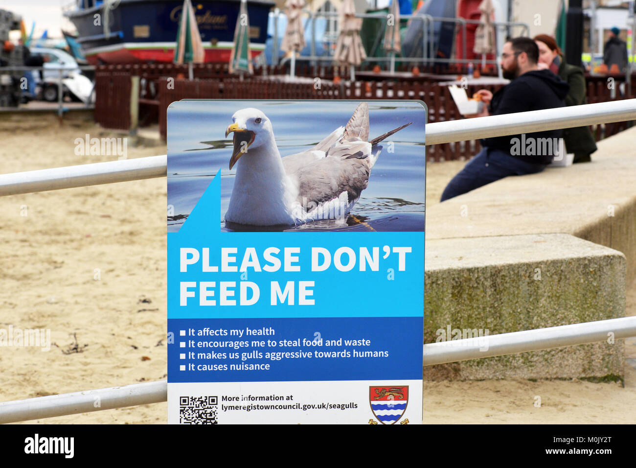 Problème Seagull panneau d'avertissement de ne pas les nourrir comme ils causent une nuisance, Lyme Regis, dans le Dorset, UK Banque D'Images