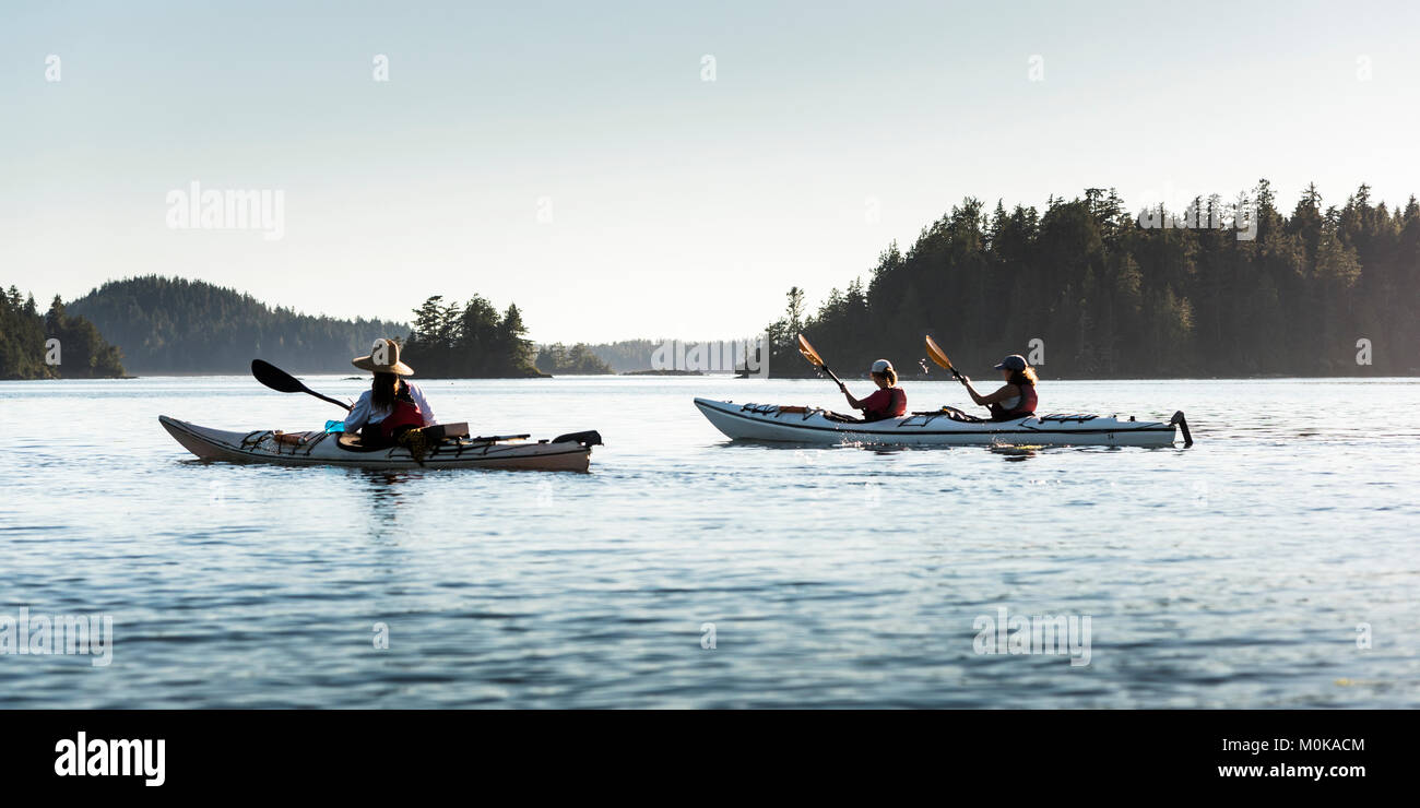 Kayak dans la baie Clayoquot, île de Vancouver, Tofino, Colombie-Britannique, Canada Banque D'Images