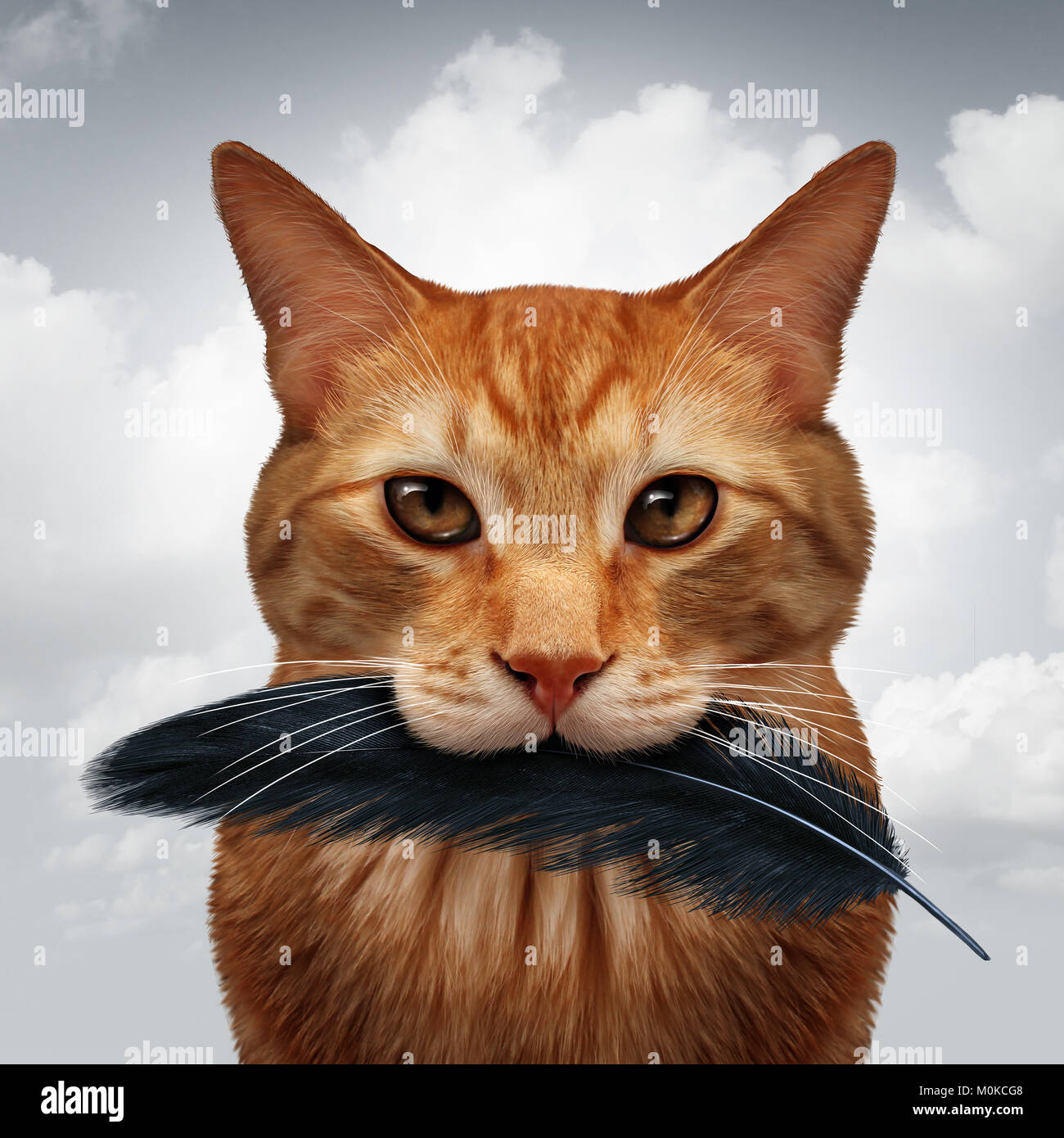 Cat Bird In Mouth Banque De Photographies Et D Images A Haute Resolution Alamy
