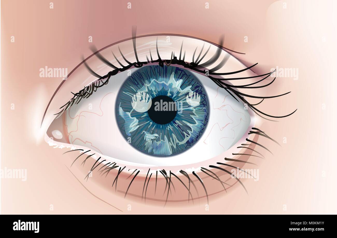 Un Dessin Realiste D Un œil Humain Avec Un Iris Bleu Close Up C Est Une Solution Evolutive Et Dessin Vectoriel Editable Image Vectorielle Stock Alamy Un Dessin Realiste D Un œil Humain Avec Un Iris Bleu Close Up C Est Une Solution Evolutive Et Dessin Vectoriel Editable Image Vectorielle Stock Alamy