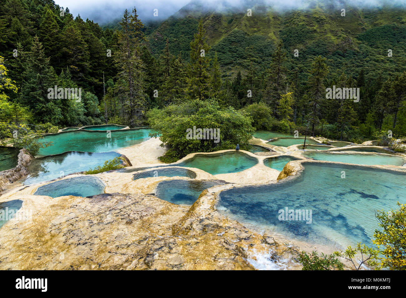 Le Parc National de Huanglong, Sichuan, Chine, célèbre pour ses piscines colorées formées par les dépôts de calcite. Située à plus de 3000m d'altitude, c'est un l'UNES Banque D'Images