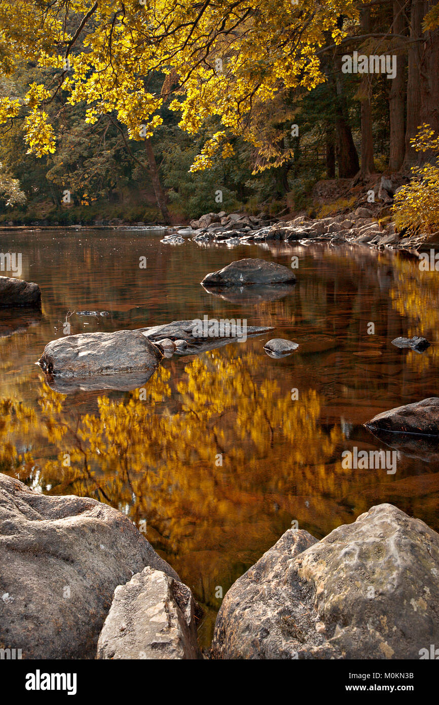 Les couleurs de l'automne dans les arbres se reflétant dans la rivière tranquille à Betws-Y-coed, au nord du Pays de Galles Banque D'Images