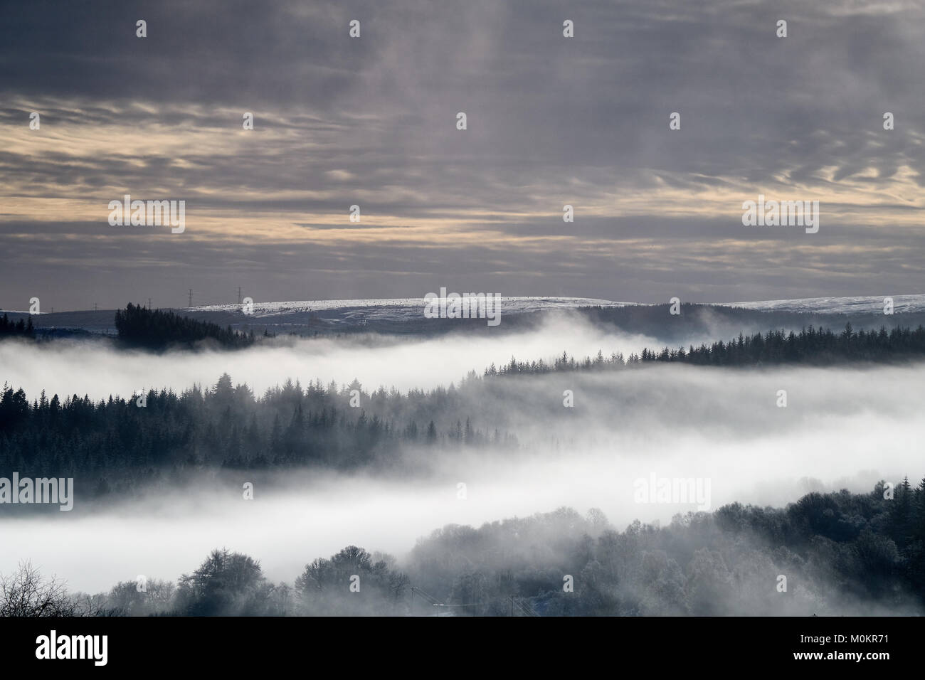 Superbe paysage d'automne avec arbres brumeux en face d'une chaîne de montagnes spectaculaire Banque D'Images