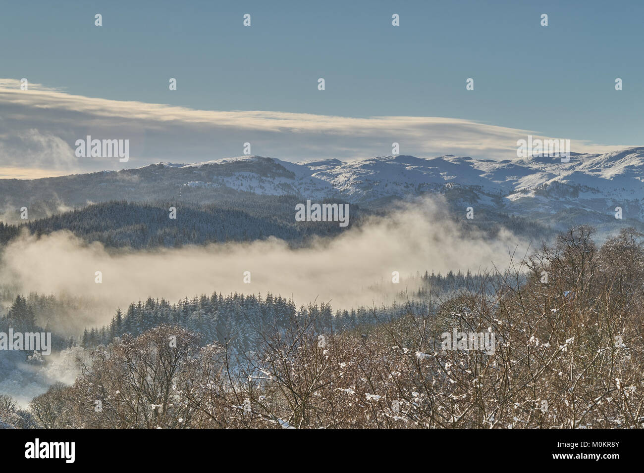 Superbe paysage d'automne avec arbres brumeux en face d'une chaîne de montagnes spectaculaire Banque D'Images