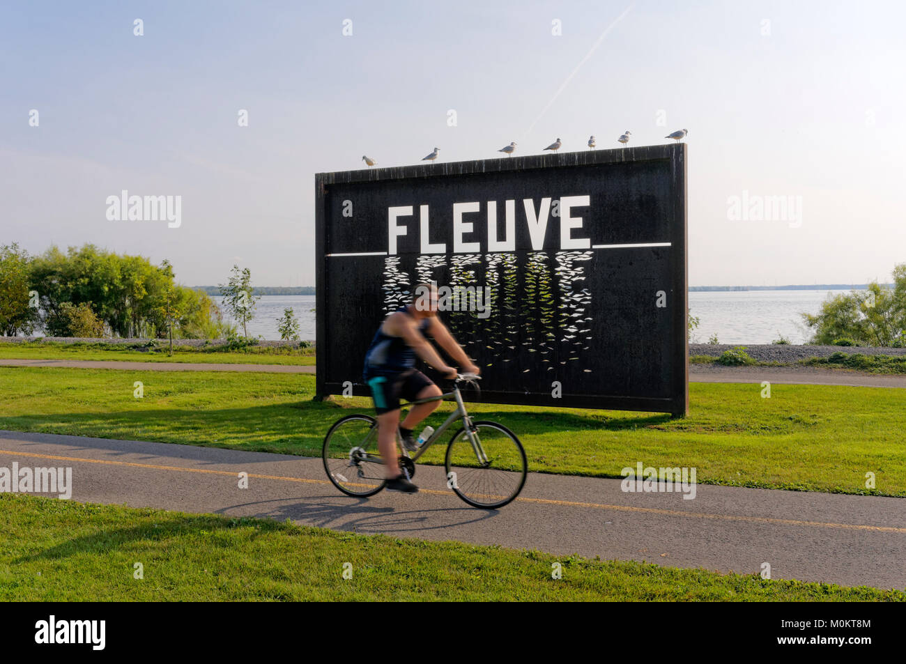 Man riding a bicycle passé grand panneau métallique art installation avec le fleuve Saint-Laurent en arrière-plan, de Lachine, Montréal, Québec, Canada Banque D'Images