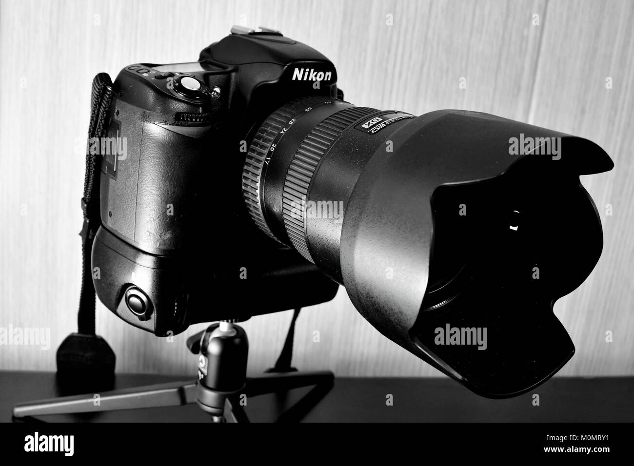 Reflex numérique Nikon D80 et de la batterie, et des lentilles sur l'affichage et les décorations de Noël ainsi Banque D'Images