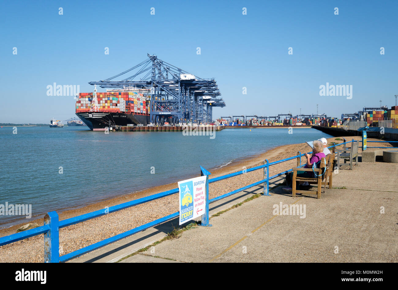 MSC (Mediterranean Shipping Company) porte-conteneurs MSC Tina en train de décharger dans le port de Felixstowe, England, UK Banque D'Images