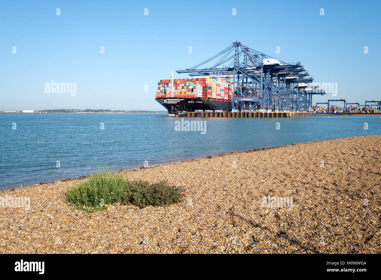 MSC (Mediterranean Shipping Company) porte-conteneurs MSC Tina en train de décharger dans le port de Felixstowe, England, UK Banque D'Images