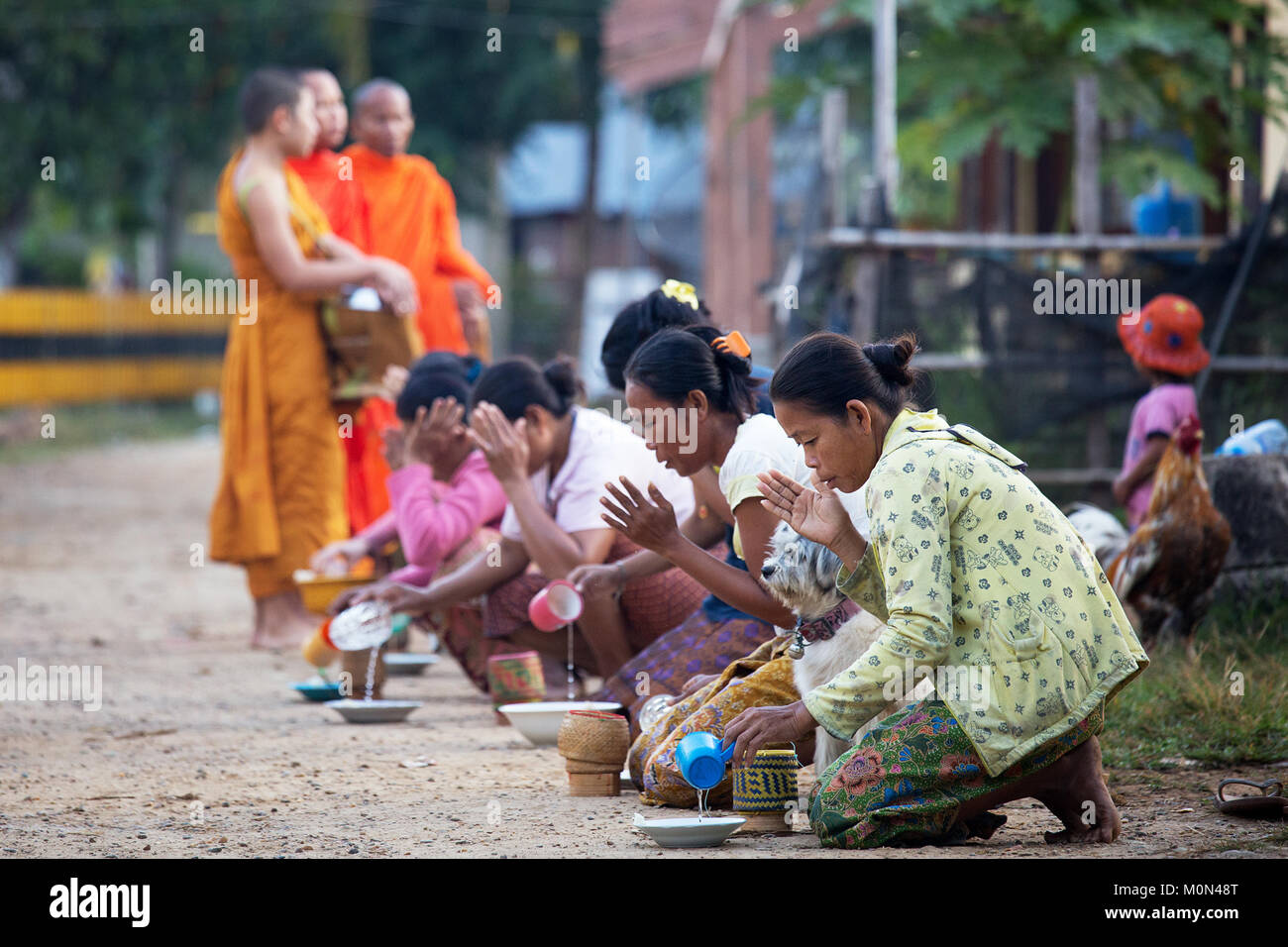Femme l'aumône aux moines en début de matinée à Don Khon, 4000 îles dans le sud du Laos Banque D'Images