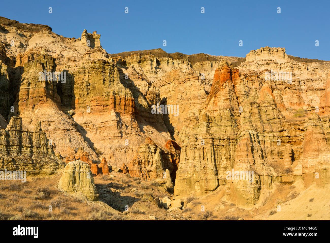 Les strates colorées et les falaises de craie le long du bassin de la rivière Owyhee de l'Oregon. USA Banque D'Images