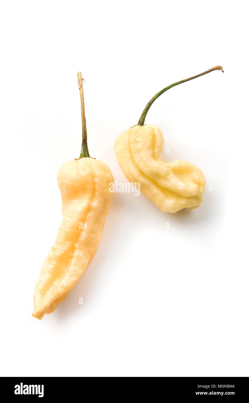 Jay's Peach Scorpion Ghost pepper on a white background Banque D'Images