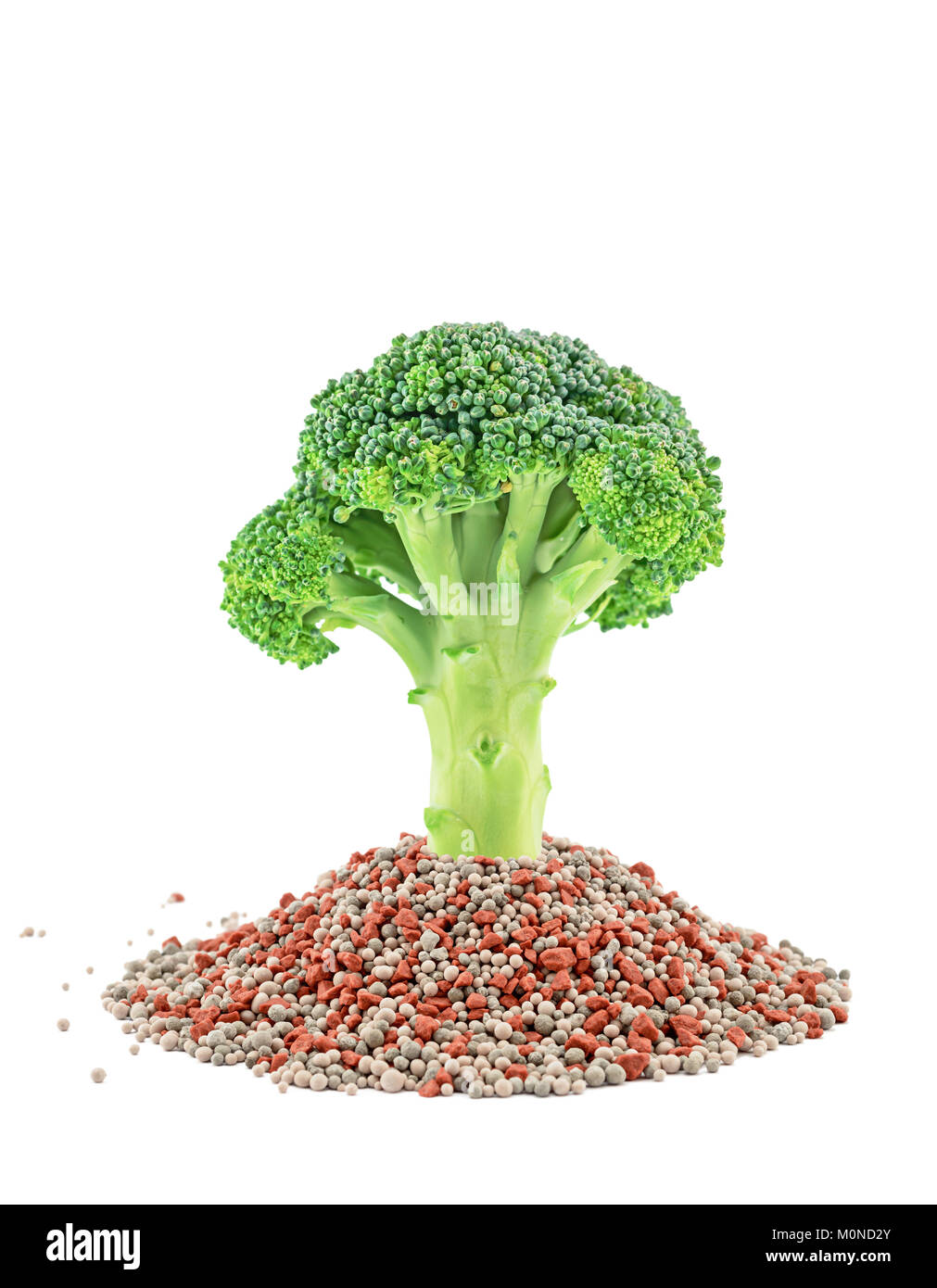 Gros plan sur le brocoli vert d'engrais minéraux. Isolé sur le fond blanc Banque D'Images
