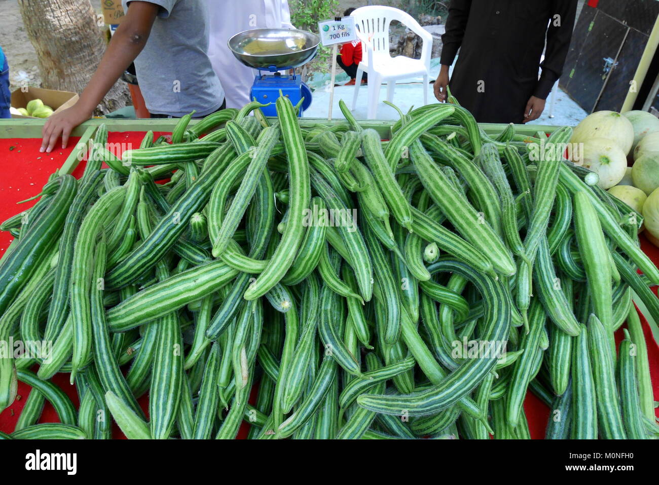 Concombre arménien, cucumis melo, un membre de la famille cantaloup, en vente sur le marché de producteurs, Manama, Royaume de Bahreïn Banque D'Images