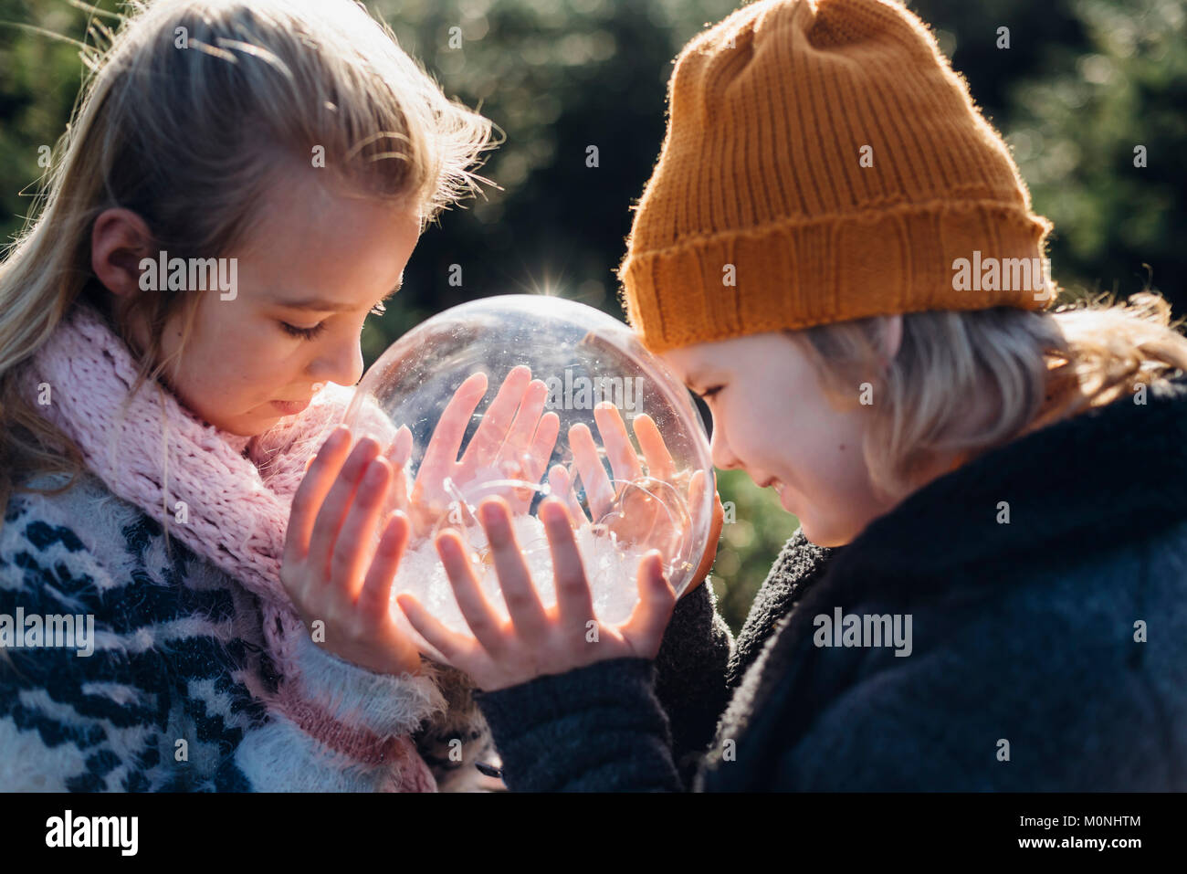 Tannenbaum, Weihnachtsbaumplantage, Sachsen, Allemagne, Weihnachten, WEIHNACHTSBAUM, Schneekugel Banque D'Images