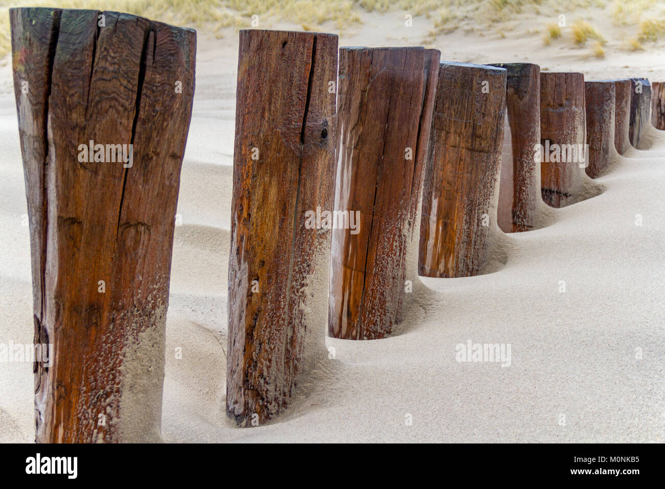 Plage de sable fin détail montrant un épi et dune recouverte d'herbe dans une province néerlandaise nommé 225 Banque D'Images