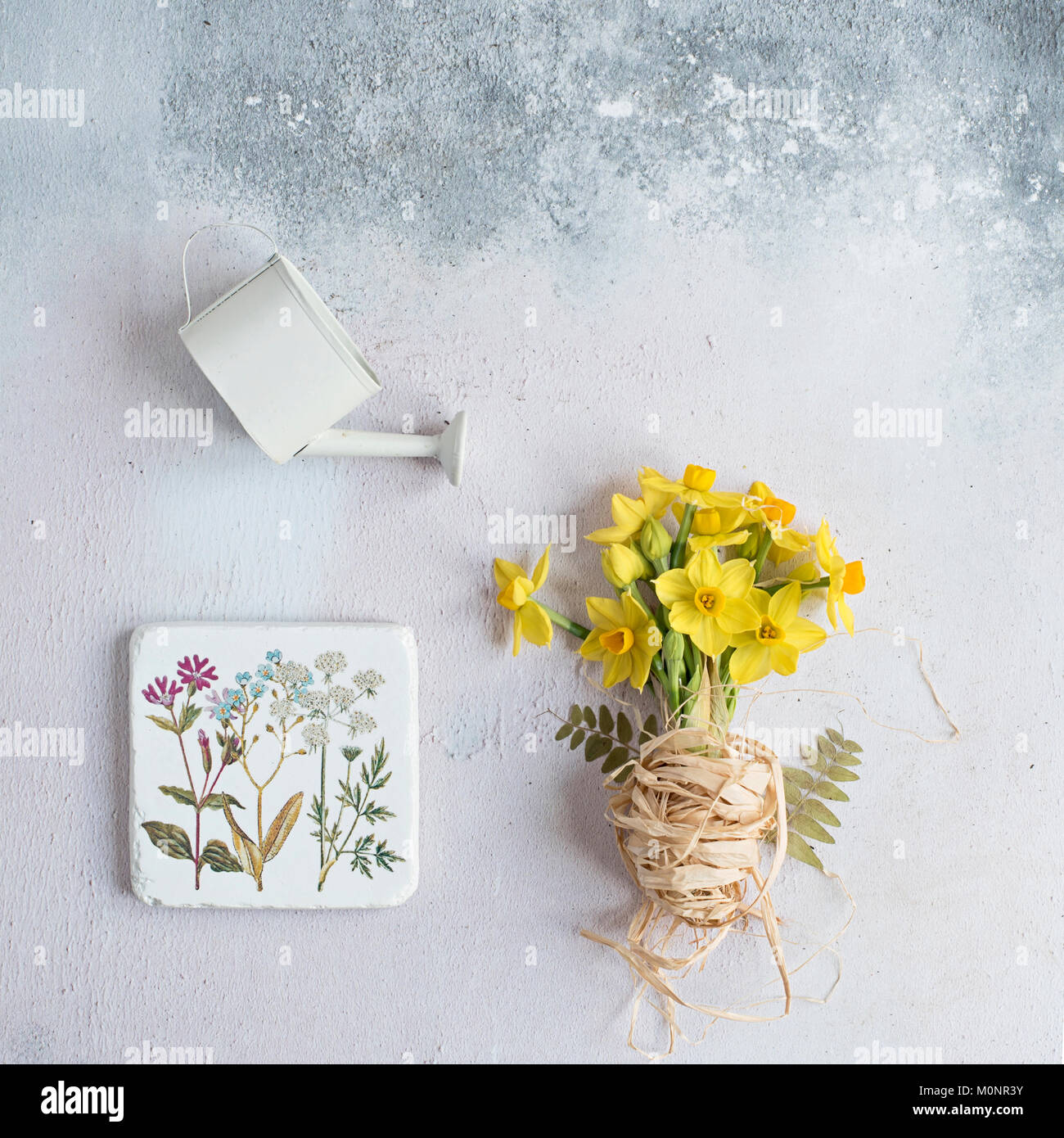 Flatlay avec Narcisse jaune printemps - Jonquilles Banque D'Images