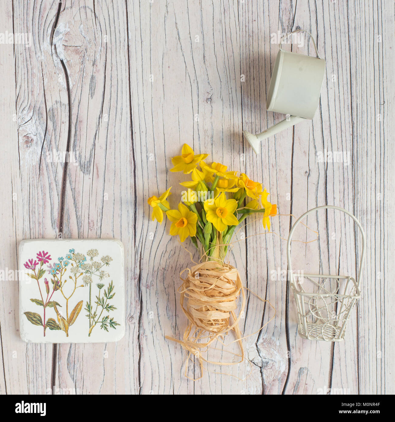 Flatlay avec Narcisse jaune printemps - Jonquilles Banque D'Images