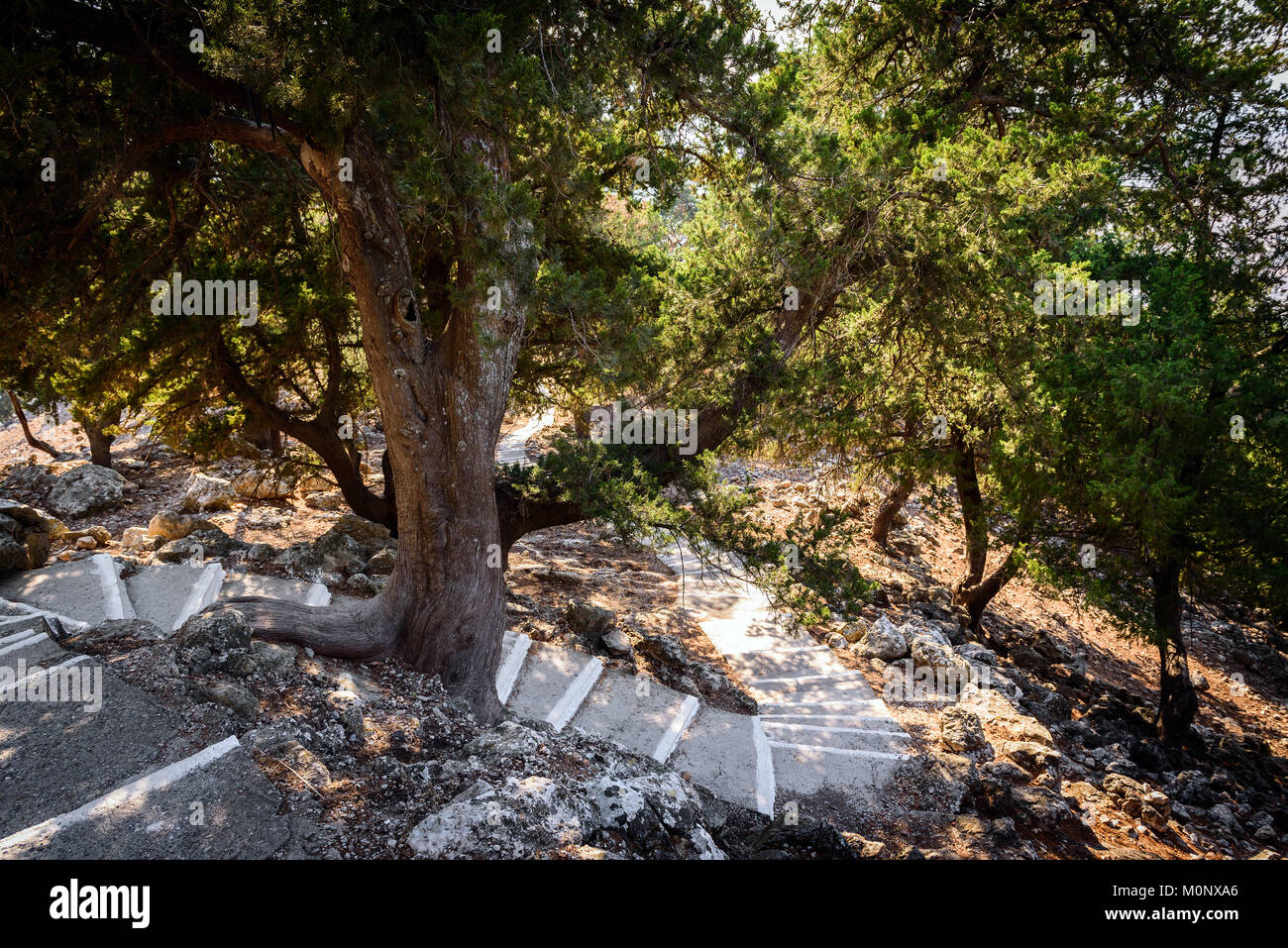 Road à 300 pas de Tsampika église sur l'île de Rhodes, Grèce Banque D'Images