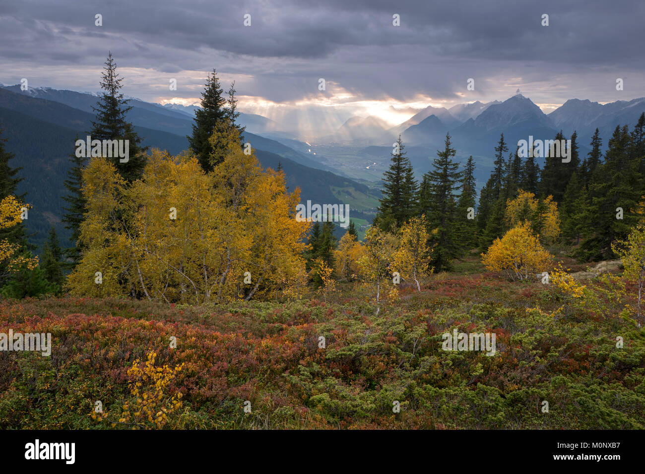 Dans Naunz,automne,Kellerjoch Voralpen de Tux,à l'arrière-plan la basse vallée de l'Inn, Tyrol, Autriche Banque D'Images