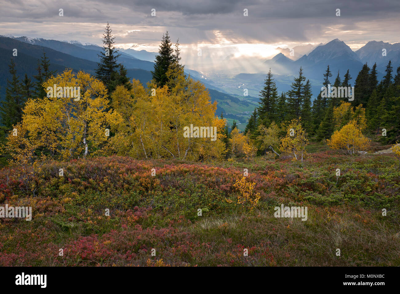 Dans Naunz,automne,Kellerjoch Voralpen de Tux,à l'arrière-plan la basse vallée de l'Inn, Tyrol, Autriche Banque D'Images