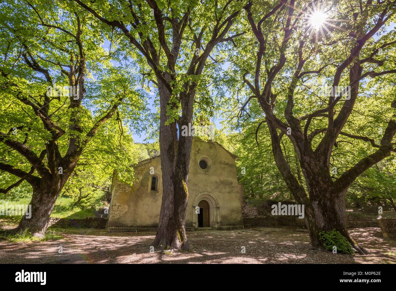Francealpes De Haute Provence Saint Etienne Les Orgues