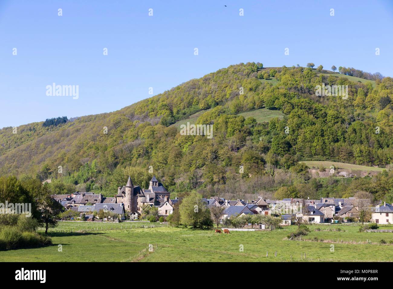 France,Aveyron,Sainte Eulalie d'Olt,les plus beaux villages de France Photo Stock Alamy
