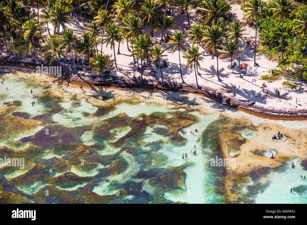 Francecaraïbes Petites Antilles La Guadeloupe Grande