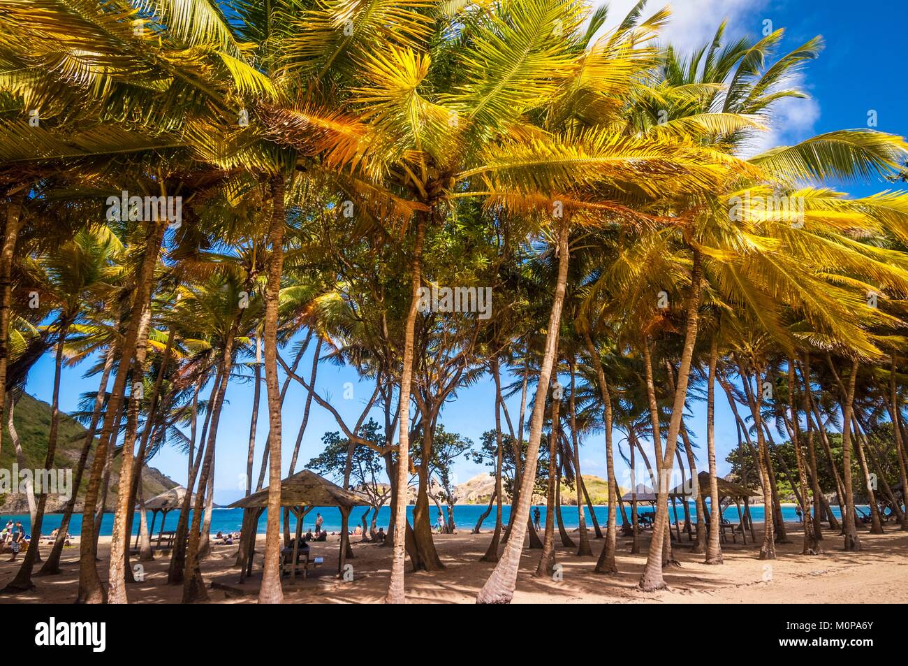 France,Caraïbes Petites Antilles Guadeloupe,,,Les Saintes,Terre-de-Haut,plage Pompierre Banque D'Images
