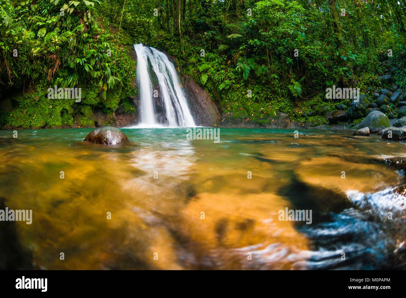 France,Caraïbes,Antilles, la Guadeloupe, Basse-Terre, Petit-Bourg, Guadeloupe,Parc National de la Cascade aux Écrevisses Crayfish (Cascade) et son bassin Banque D'Images