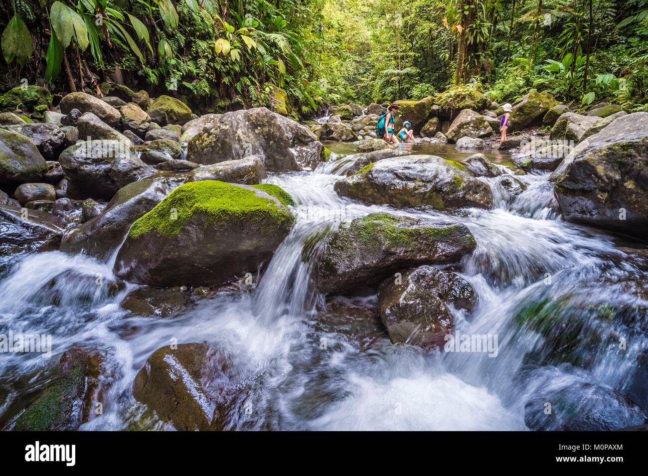France,Caraïbes Petites Antilles, la Guadeloupe, BasseTerre