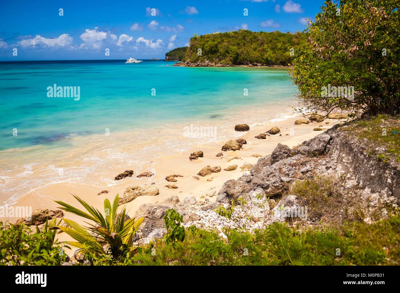 France,Caraïbes Petites Antilles, la Guadeloupe, Guadeloupe,,Marie-Galante,Saint-Louis,Moustique Beach Banque D'Images