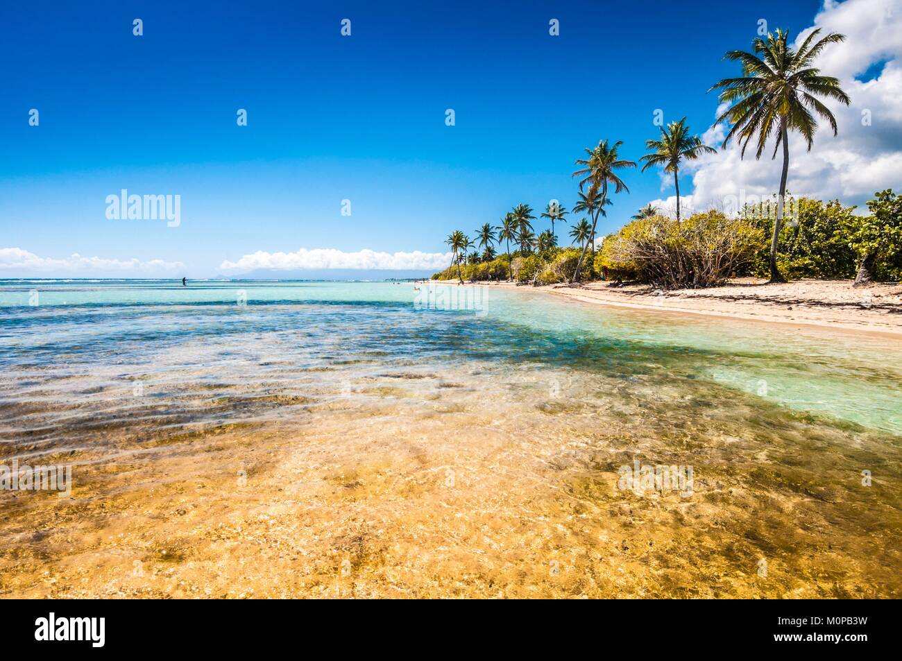 Francecaraïbes Petites Antilles La Guadeloupe Grande