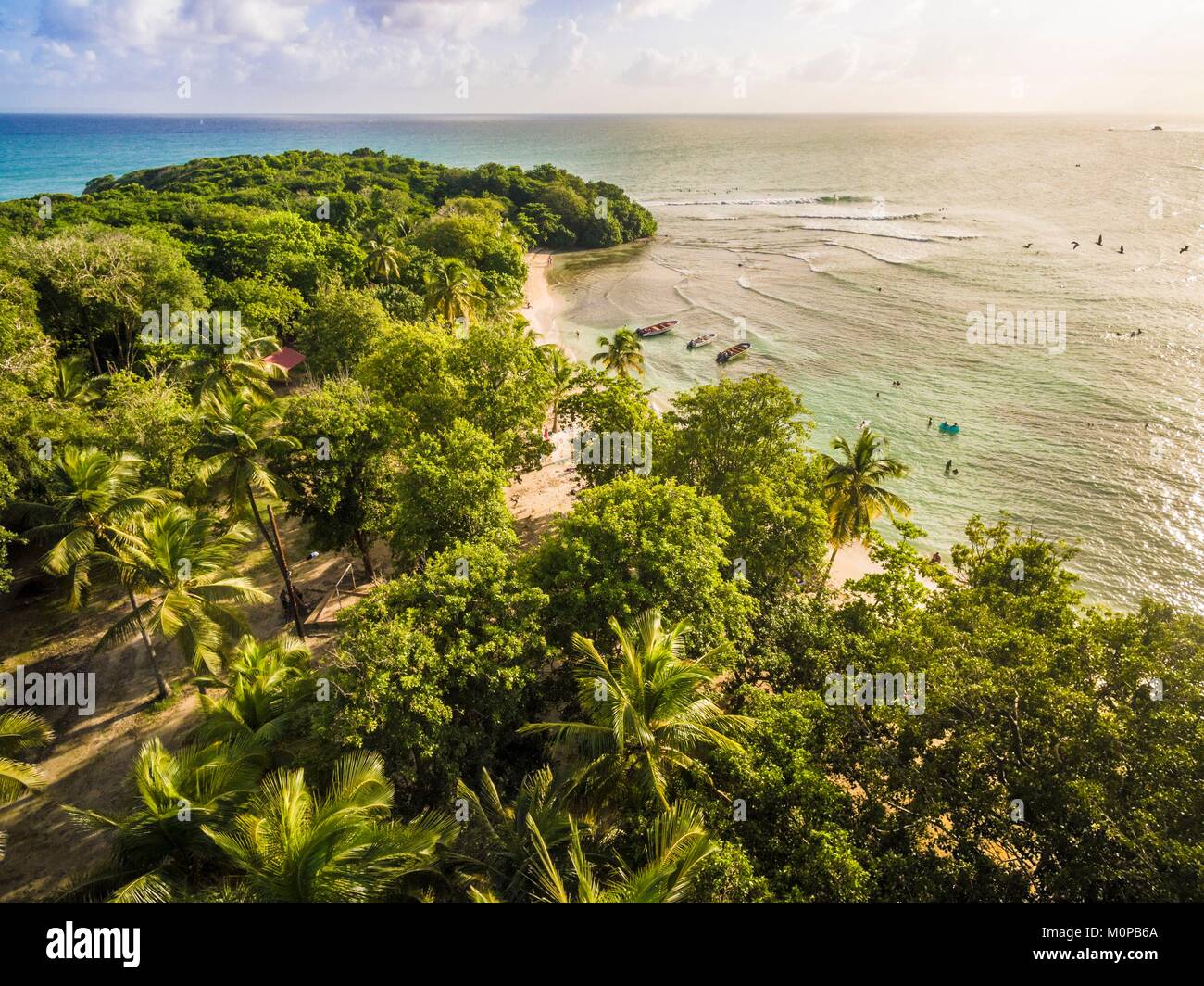 Francecaraïbes Petites Antilles La Guadeloupe Grande