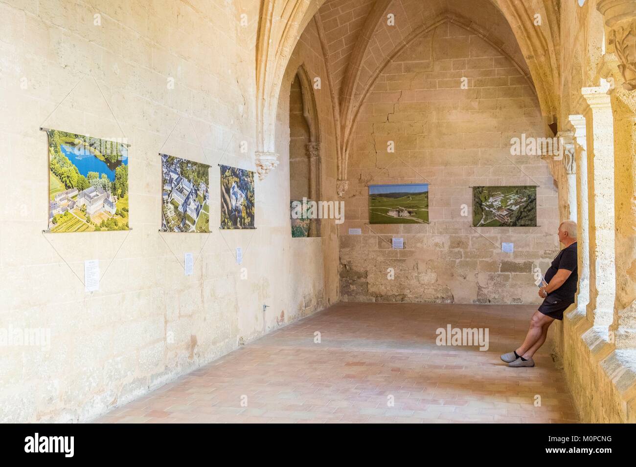 France,Herault,Abbaye de Valmagne Villeveyrac,pièce,Abbaye du ciel par Hemis Banque D'Images