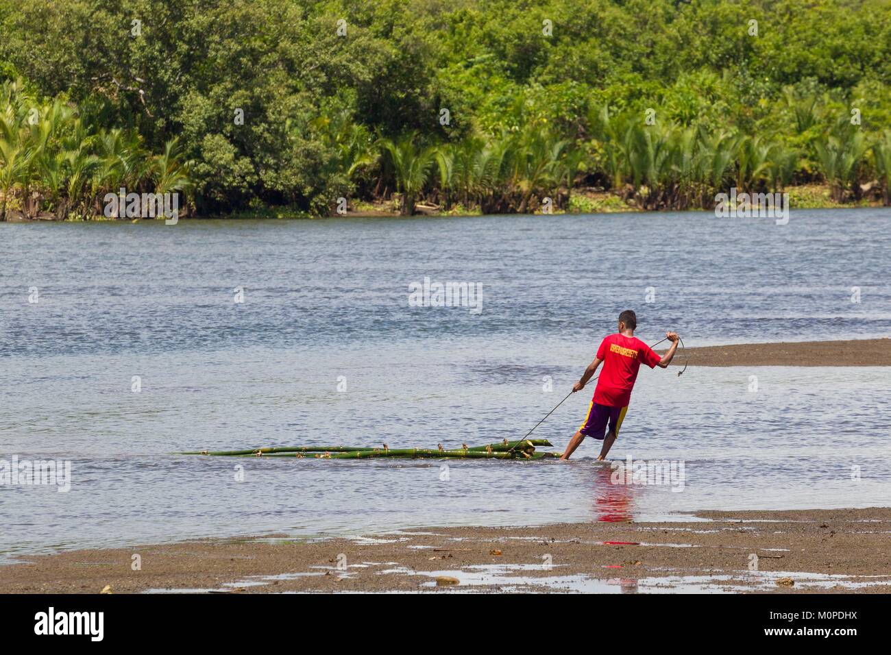 Philippines,Luzon, Camarines Sur Province,Sagnay, village de pêcheurs de l'Otan,homme tirant le bambou dans la rivière Banque D'Images