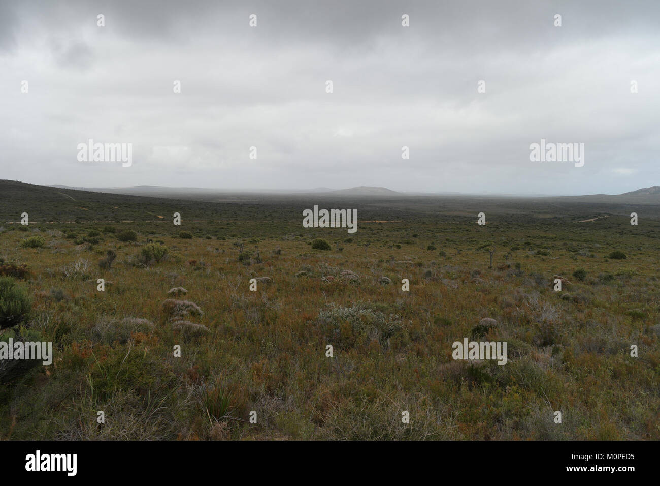 Le parc national de Cape le Grand est situé en Australie occidentale, connue pour ses paysages côtiers époustouflants, ses falaises escarpées et ses plages de sable blanc. Banque D'Images