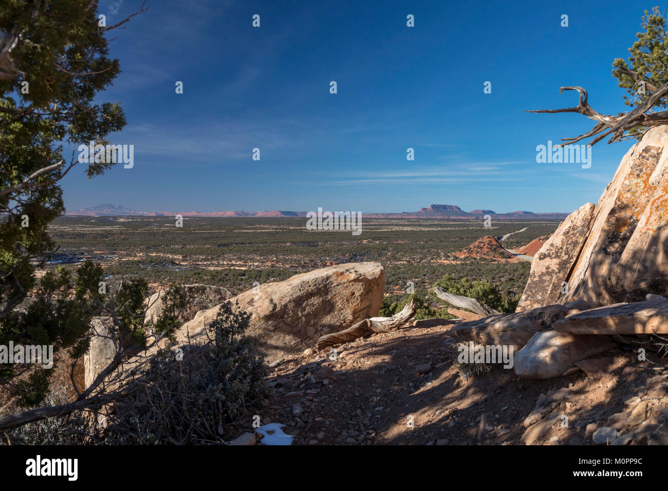 Blanding (Utah - Cedar Mesa dans les Oreilles Ours National Monument. Oreilles ours est un 1,35 millions d'acres et pittoresque région historique dans le sud-est de l'Utah. La na Banque D'Images