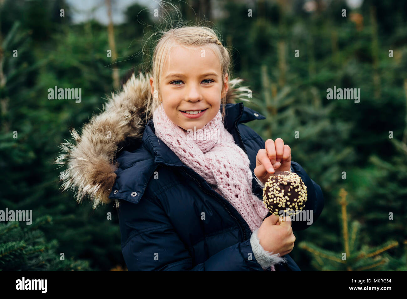 Tannenbaum, Weihnachtsbaumplantage, Sachsen, Allemagne, Weihnachten, WEIHNACHTSBAUM, Liebesapfel, Schokoapfel Banque D'Images