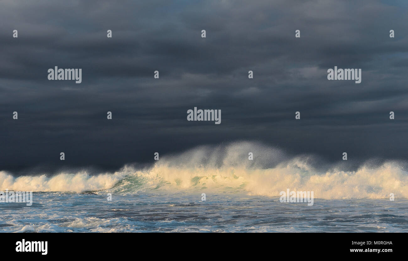 Vague éclaboussant contre un ciel d'orage. Puissant océan vagues se briser. Vague sur la surface de l'océan. Vague se casse sur une banque. Banque D'Images