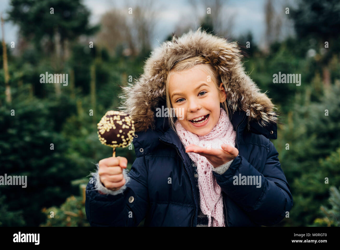 Tannenbaum, Weihnachtsbaumplantage, Sachsen, Allemagne, Weihnachten, WEIHNACHTSBAUM, Liebesapfel, Schokoapfel Banque D'Images