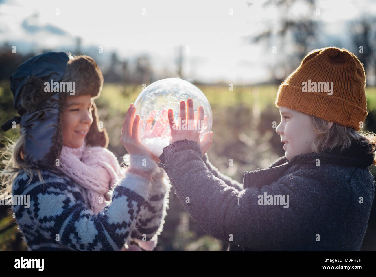 Tannenbaum, Weihnachtsbaumplantage, Sachsen, Allemagne, Weihnachten, WEIHNACHTSBAUM, Schneekugel Banque D'Images