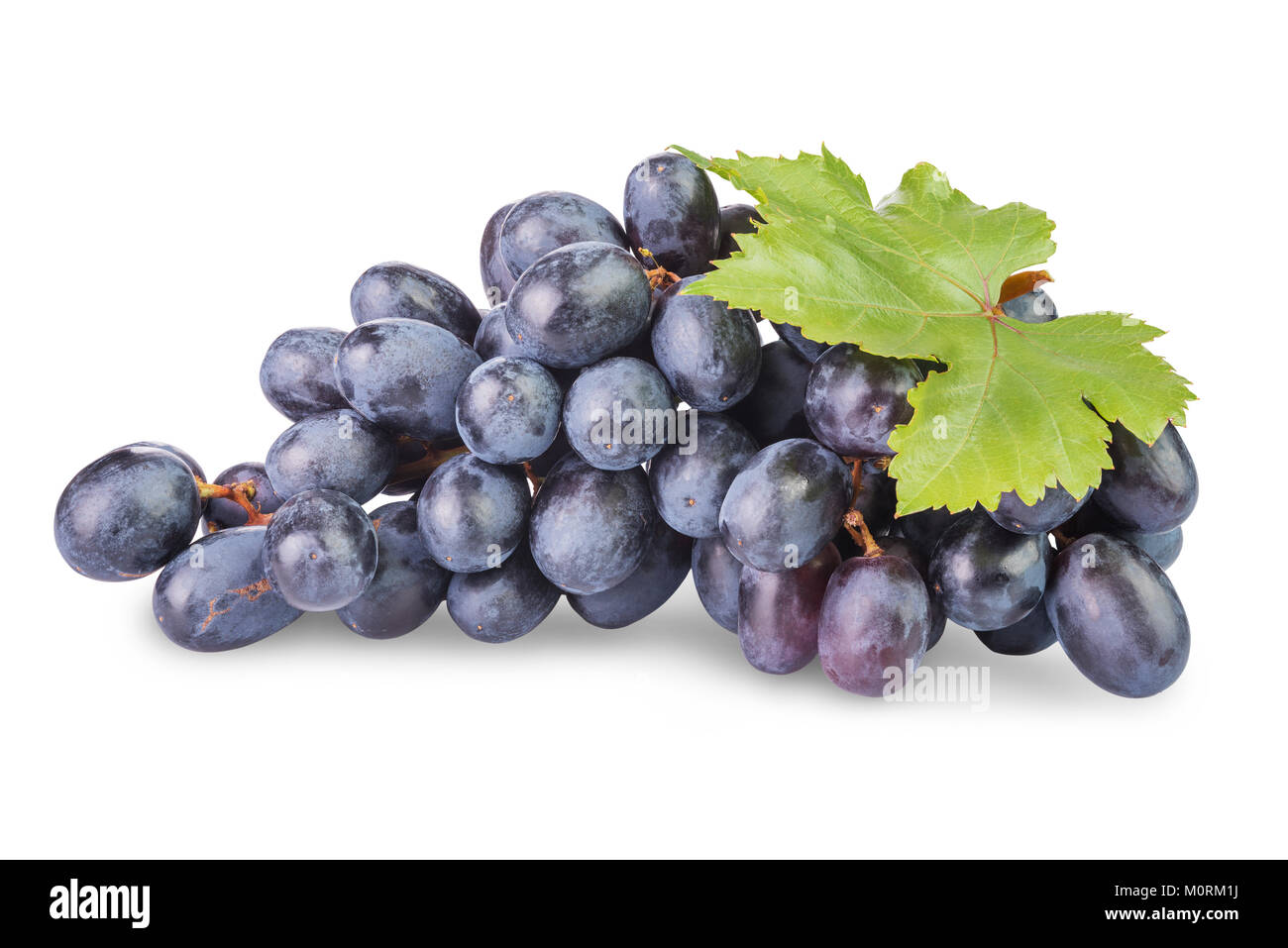 Tas de raisins noirs mûrs avec des feuilles isolées sur fond blanc Banque D'Images