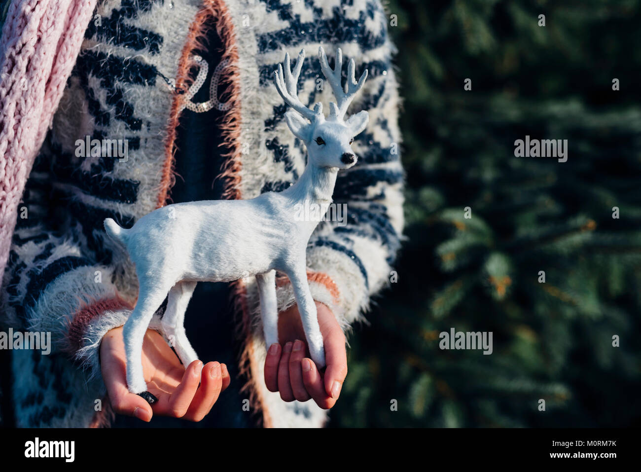 Tannenbaum, Weihnachtsbaumplantage, Sachsen, Allemagne, Weihnachten, Weihnachtsbaum Banque D'Images