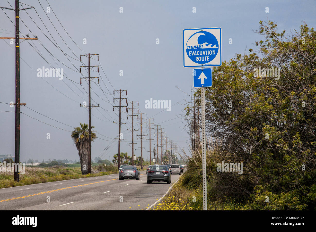 Parcours d'évacuation Tsunami Ballona Wetlands, signes, Playa Del Rey, Los Angeles, Californie, USA Banque D'Images