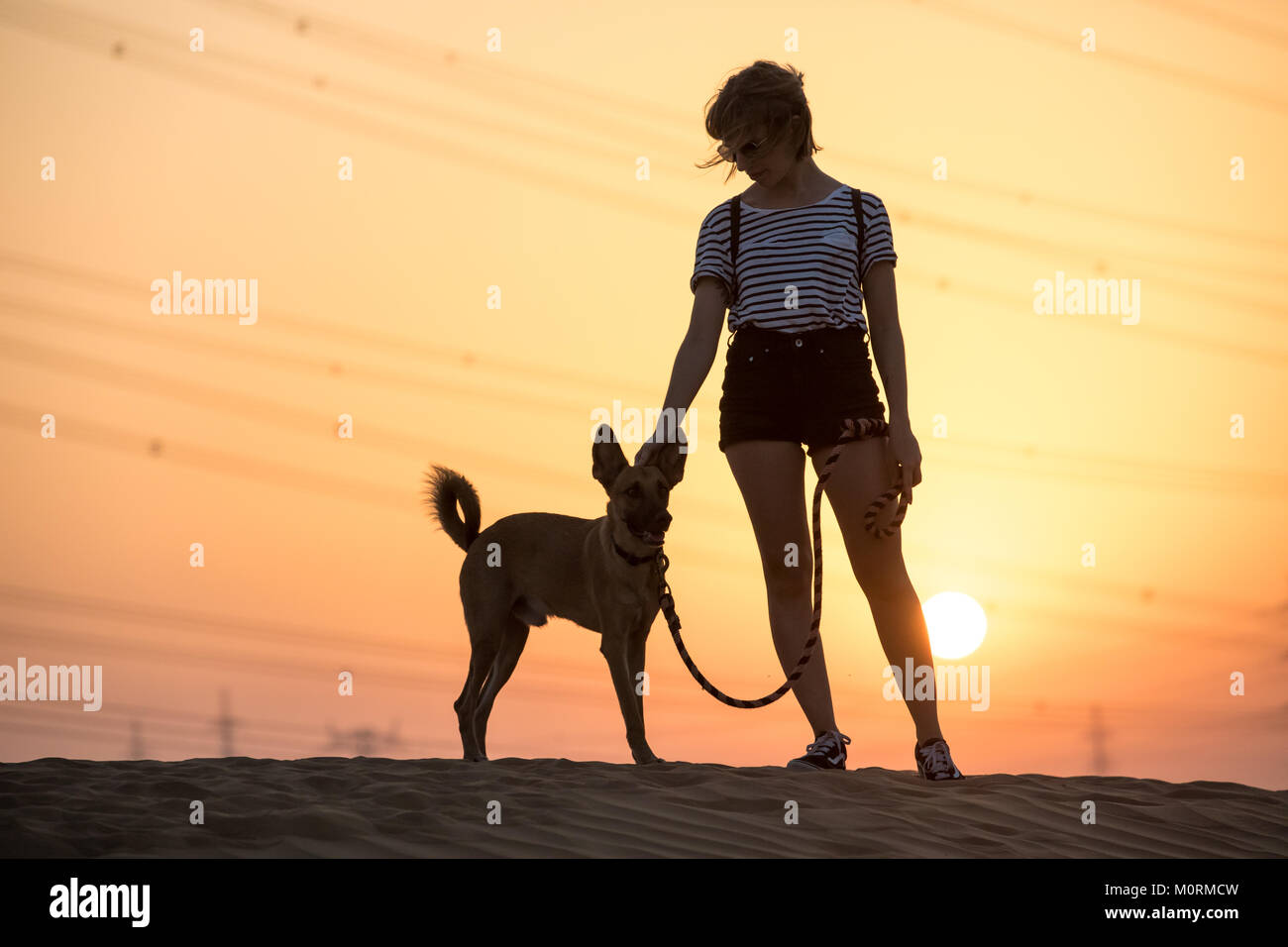 Chien avec une personne Banque de photographies et d’images à haute