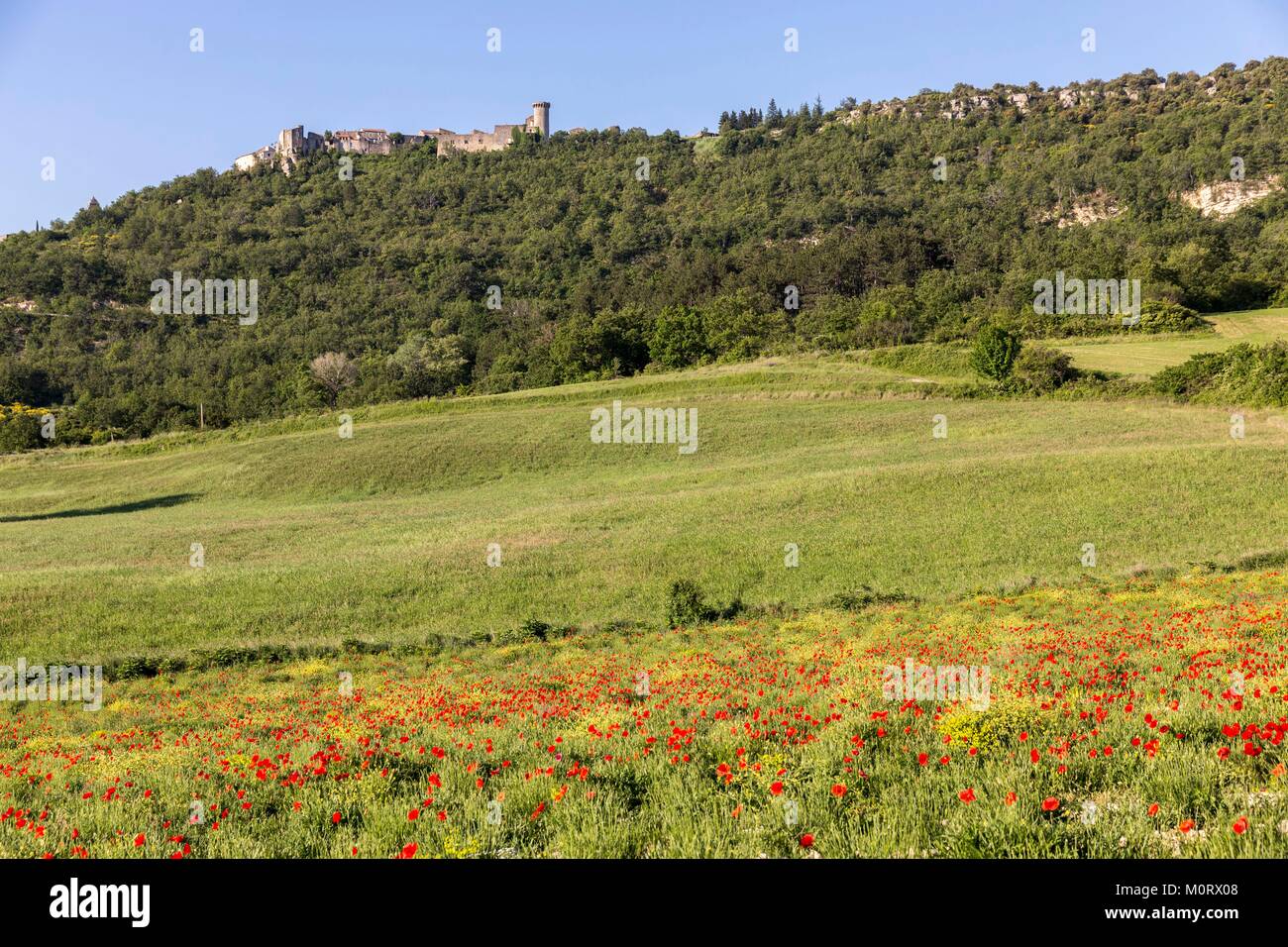 France,Vaucluse,parc naturel régional du Luberon,Viens,le village,les remparts, le château et la tour de Pousterle construit au xvième siècle Banque D'Images