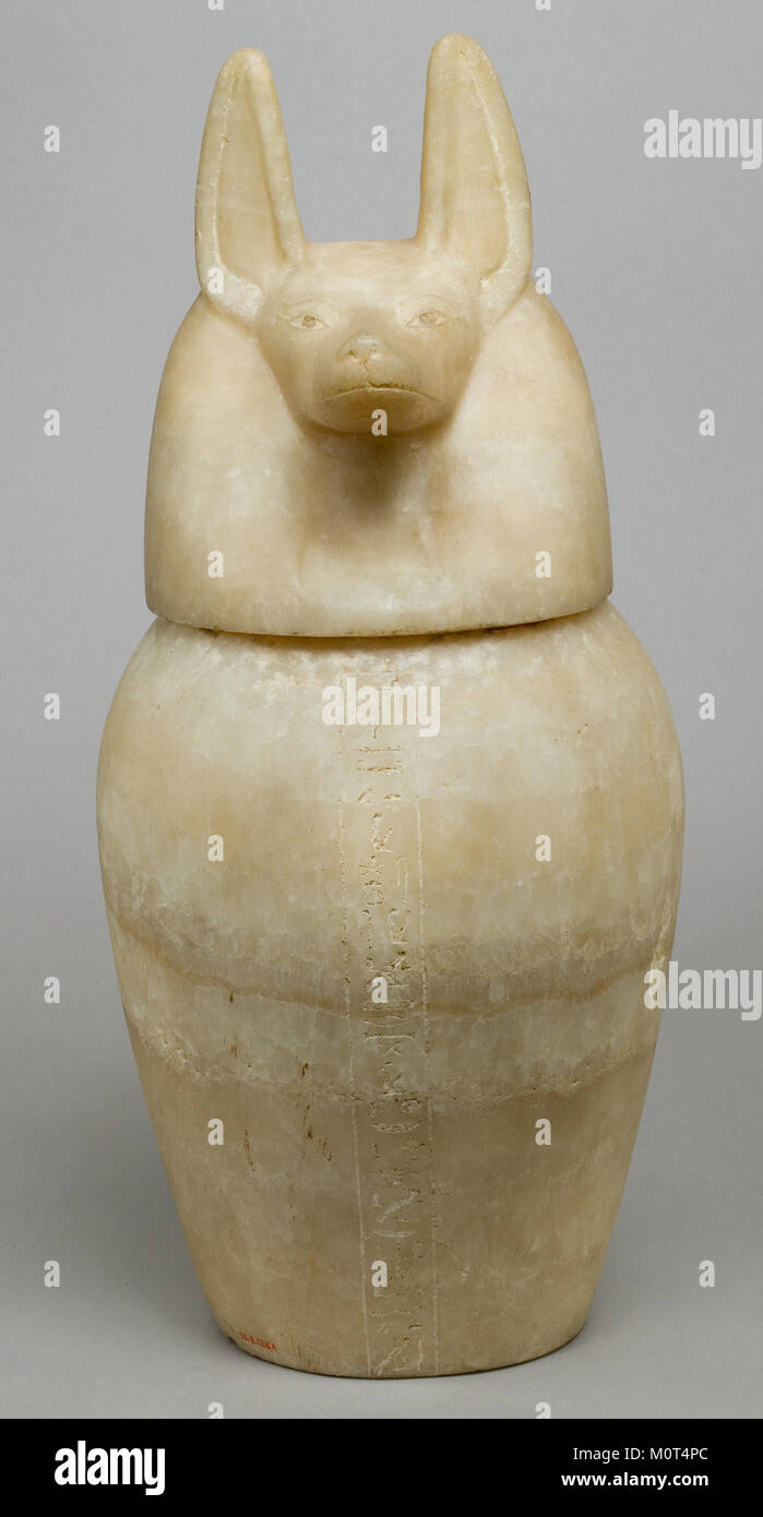 Ce pot canopique, doté d'un couvercle à tête chacal, fait partie d'une collection d'artefacts égyptiens antiques au MET. Il a été utilisé pour la préservation des organes dans le processus d'enterrement, reflétant les coutumes funéraires égyptiennes et les croyances religieuses. Banque D'Images