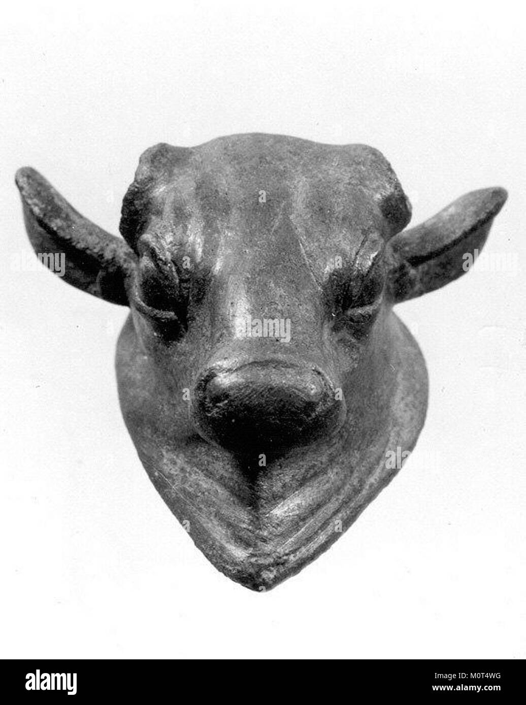 Chaudron - tête de taureau atteint 18 102 sd1988 Banque D'Images