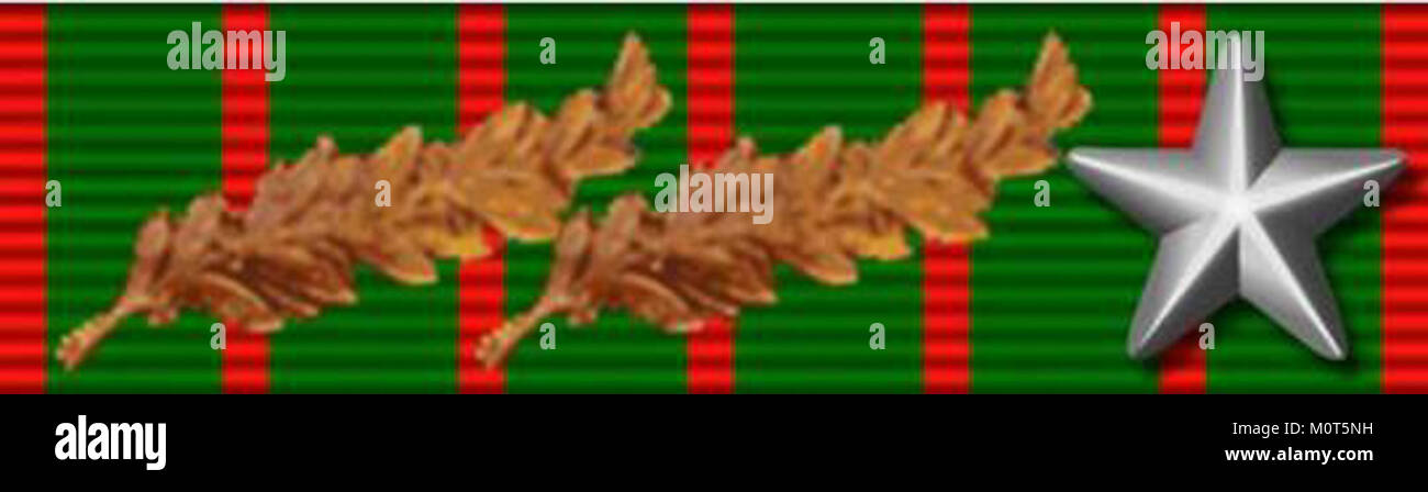 Une image intitulée « CDG avec 2 palmiers et 1 étoile argentée », représentant probablement une décoration, peut-être une médaille militaire ou de service, avec deux feuilles de palmier et une étoile argentée dans le cadre de la conception du prix. Banque D'Images